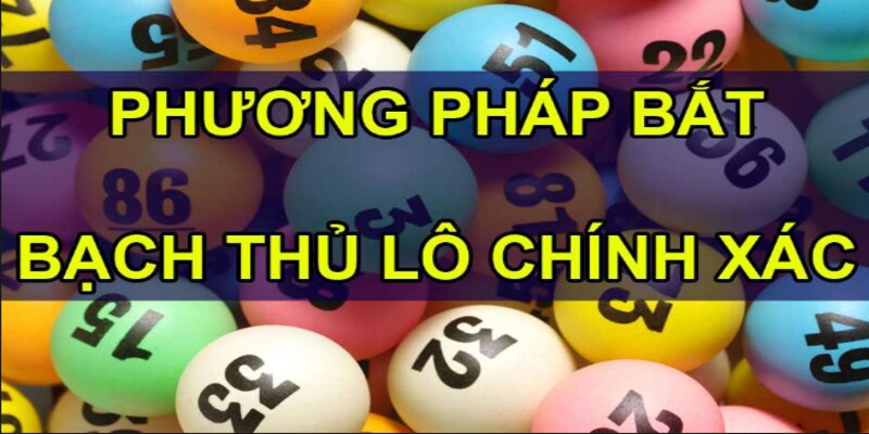 Phương pháp soi cầu bắt bạch lô thủ chính xác như chuyên gia