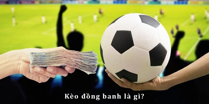 Lý giải tỷ lệ kèo đồng banh đối với người chơi mới